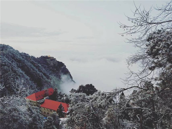 旅悦集团“寻美花筑”作品集结完毕,一大波美图角逐大奖中 寻美花筑